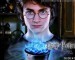 Harry potter6
